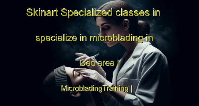 Skinart Specialized classes in specialize in microblading in Oed area | MicrobladingTraining | MicrobladingClasses | SkinartTraining-Austria